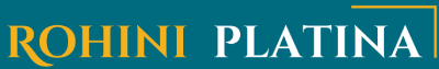Platinaa Logo